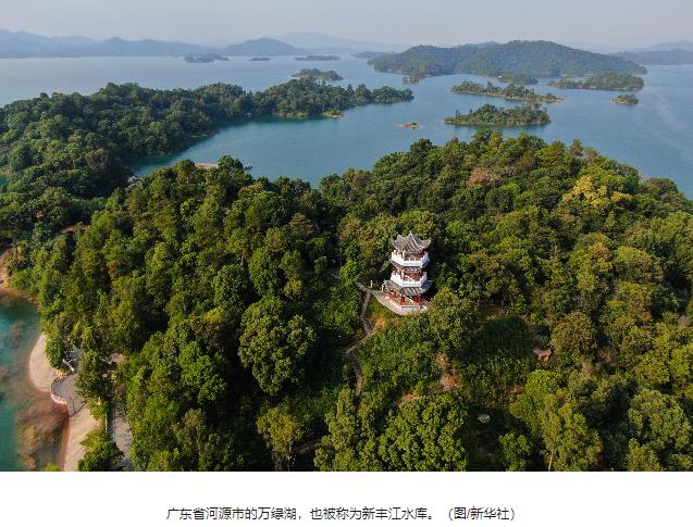 新葡京网址